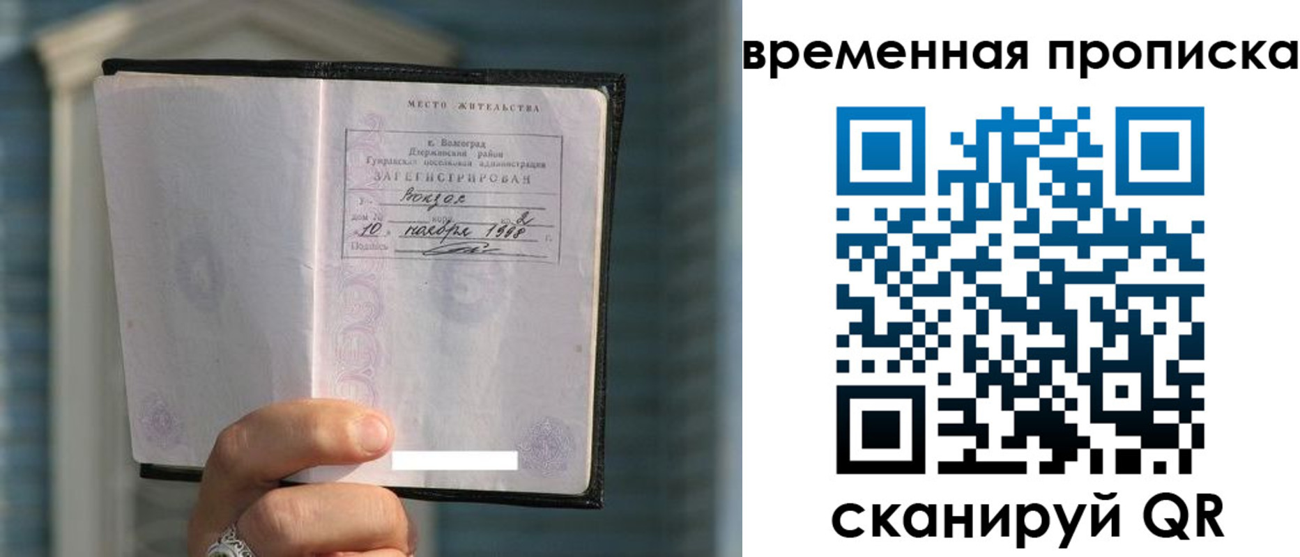 прописка поиск в Алексеевке