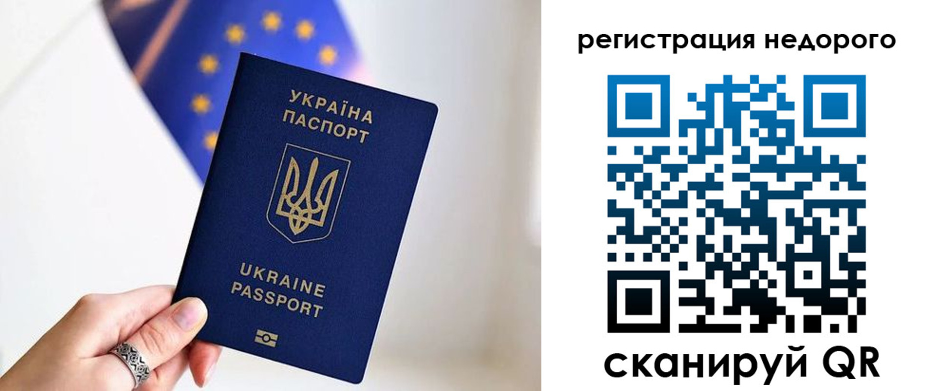 прописка 2025 в Алексеевке